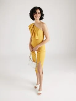 Wal G Cocktailjurken Cocktailjurk ANDY Dames Lichtoranje -Wal G 0875a619f5c36d74aa5c74a8a15f2b8d