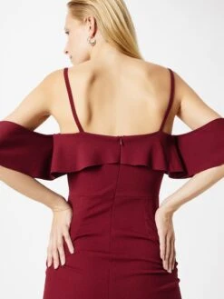 Wal G Mini Jurken Jurk ZIMMI Dames Wijnrood 17 Wal G Mini Jurken Jurk ZIMMI Dames Wijnrood -Wal G 808f072da8cc333ad963f8ea35a4e8d1