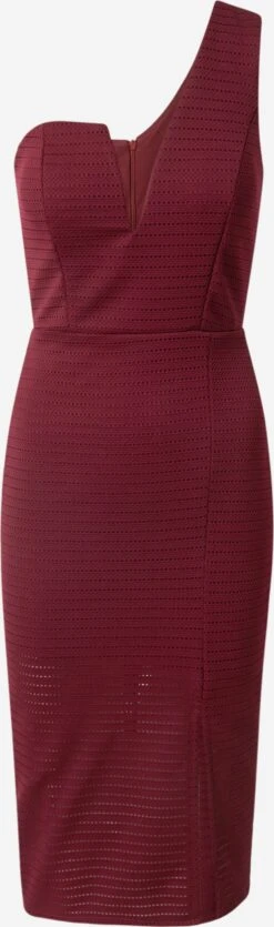 Wal G Mini Jurken Jurk Dames Bordeaux