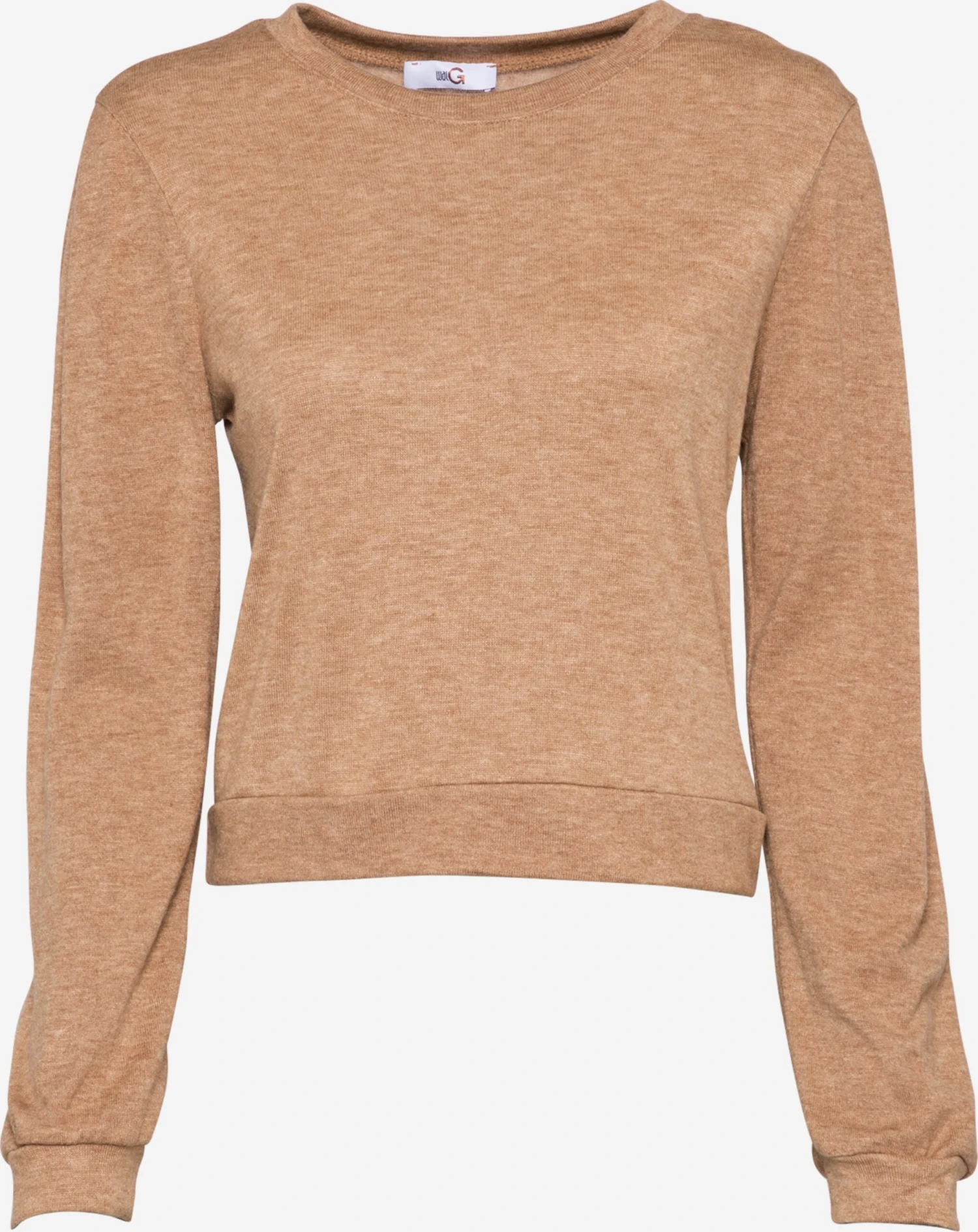 Wal G Fijngebreide Truien Trui LIBBY Dames Bruin Gemêleerd 1 Wal G Fijngebreide Truien Trui LIBBY Dames Bruin Gemêleerd